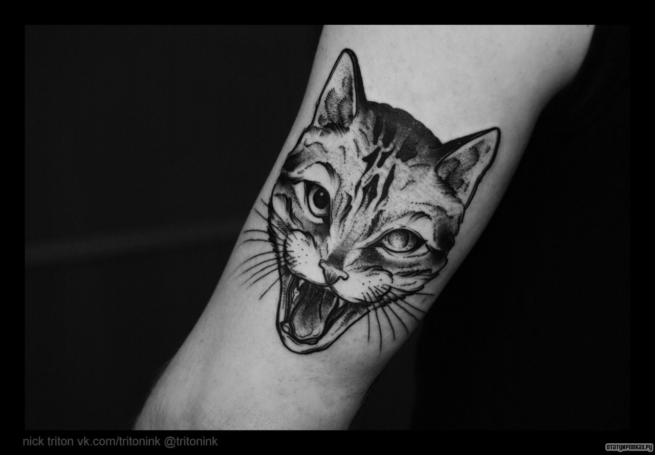 Фотография татуировки под названием «Голова кота»