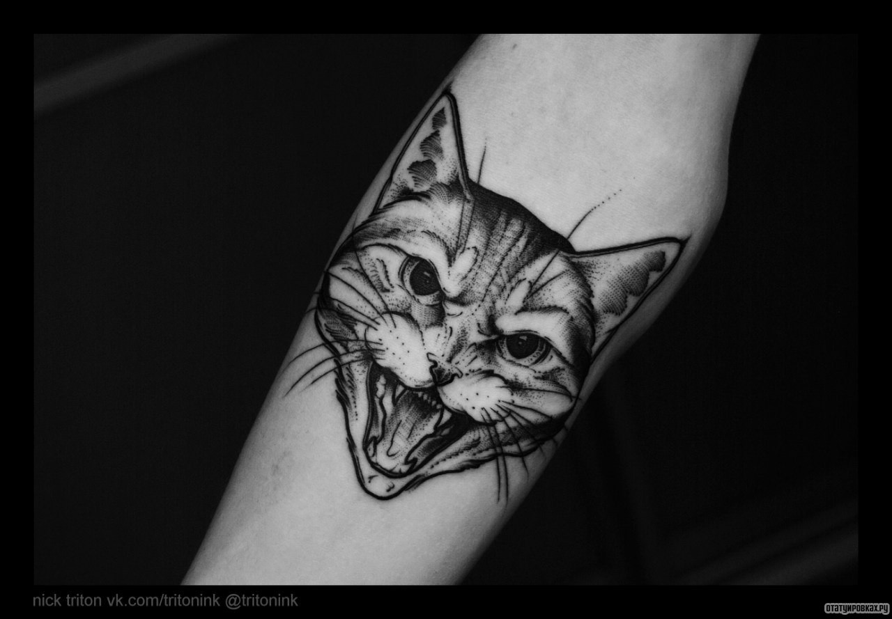 Фотография татуировки под названием «Оскал кота»