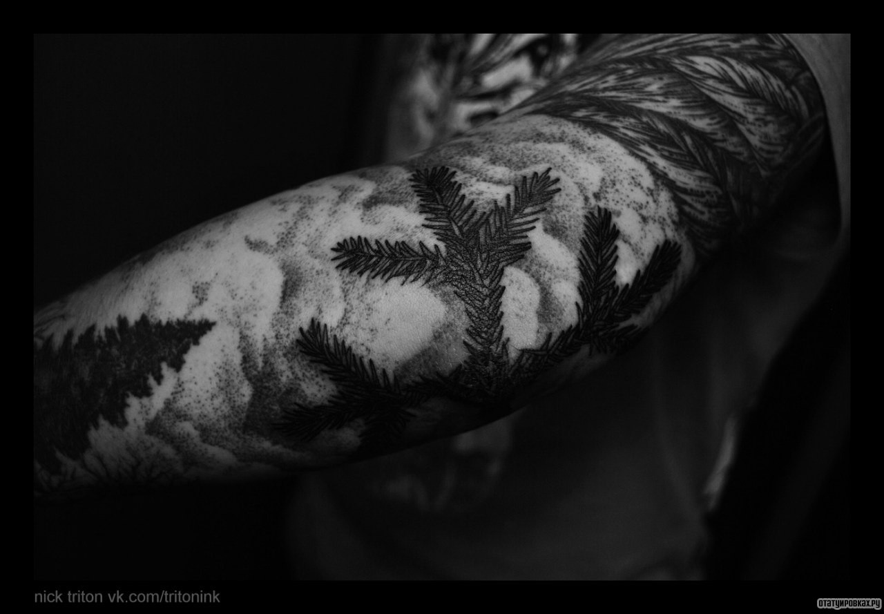 Фотография татуировки под названием «Ветки ели»