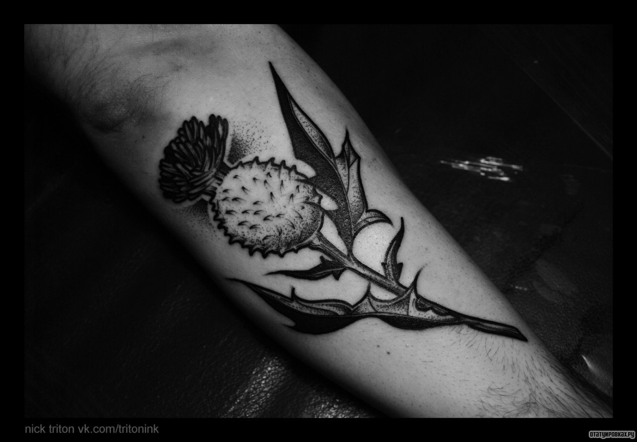 Фотография татуировки под названием «Цветок полевой»