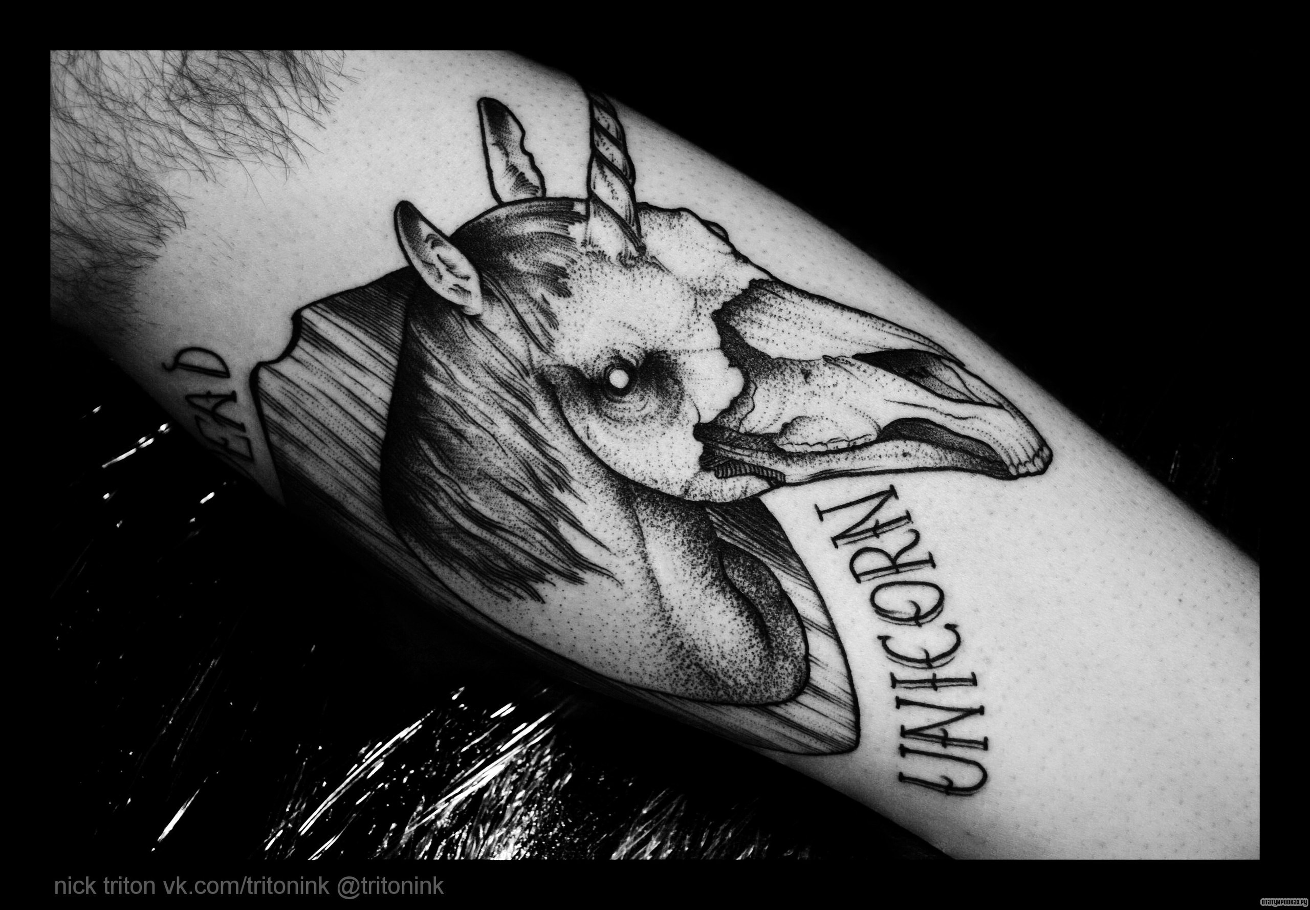 Фотография татуировки под названием «Череп пегаса»