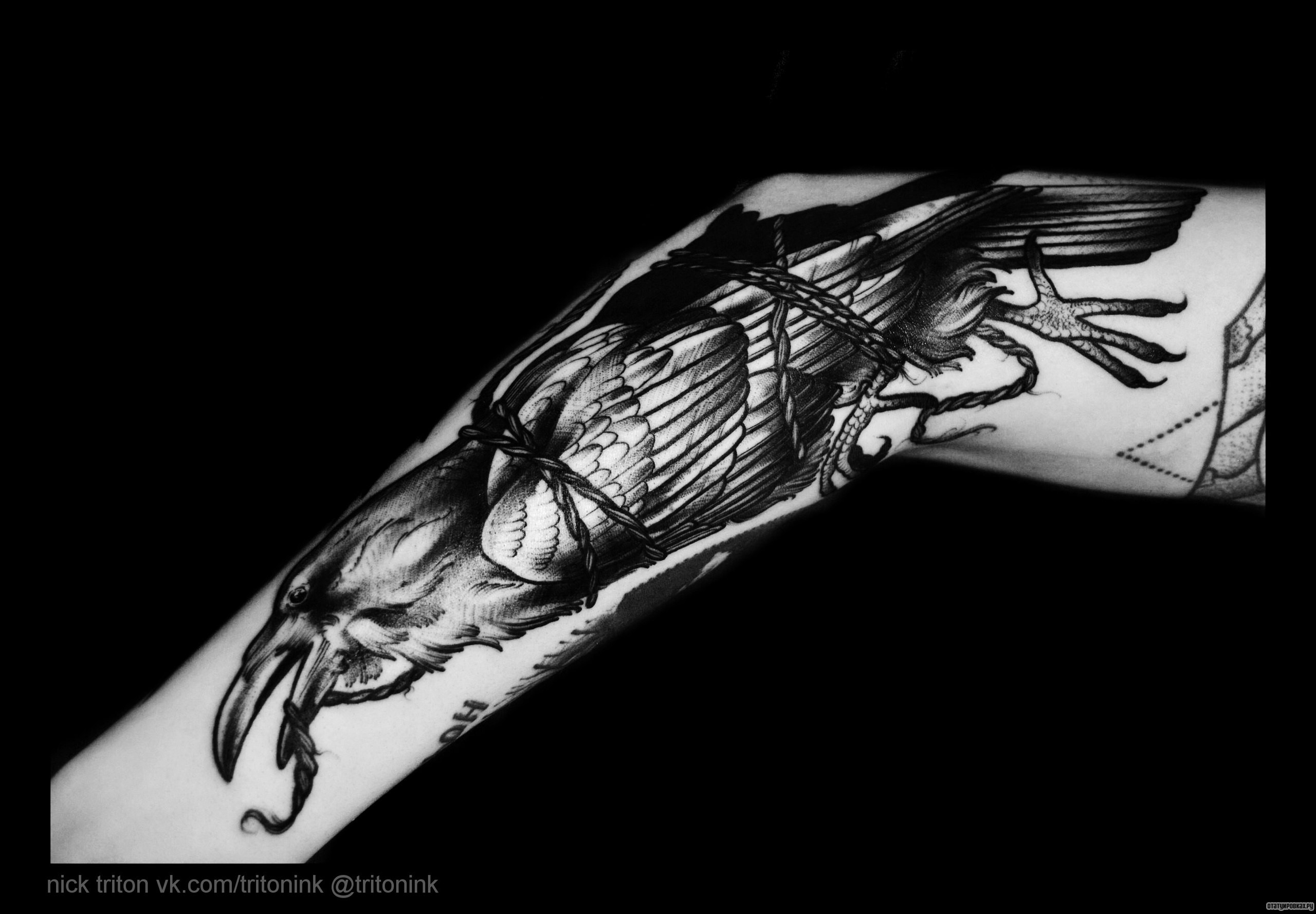 Фотография татуировки под названием «Ворон связанный»