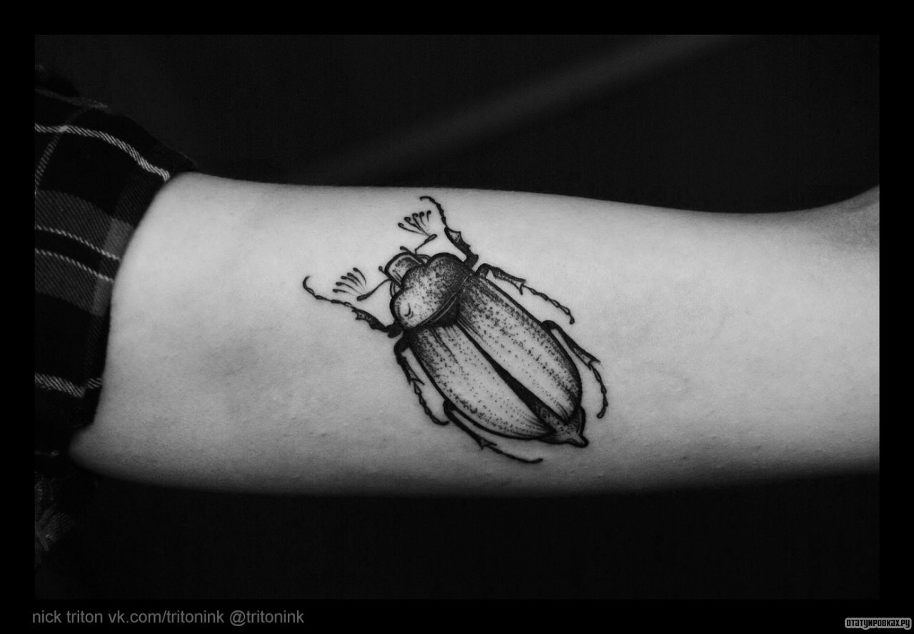 Фотография татуировки под названием «Жук»