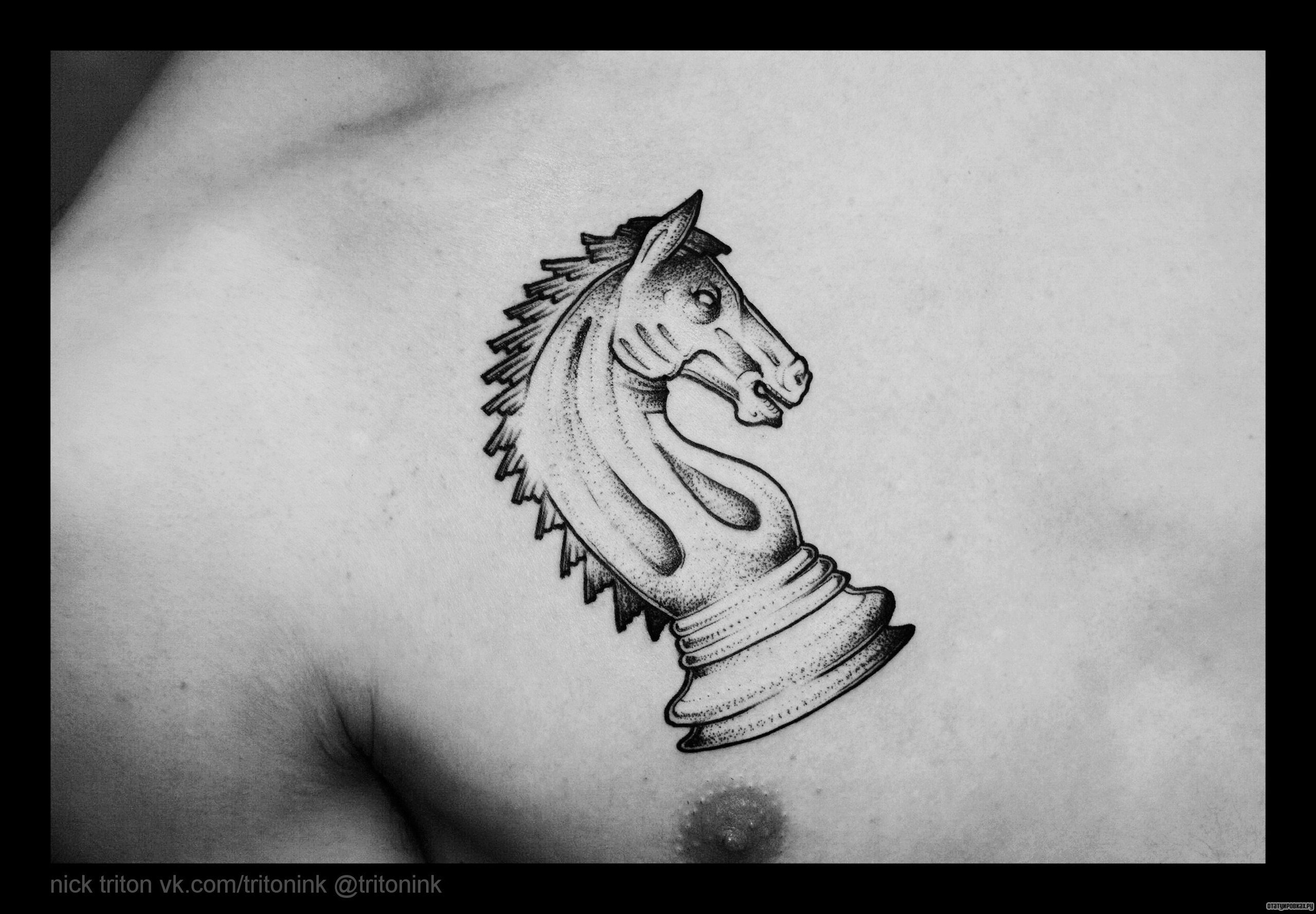 Фотография татуировки под названием «Шахматная фигура конь»