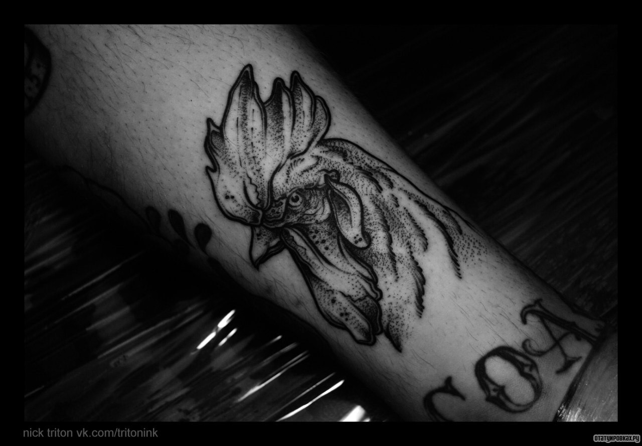 Фотография татуировки под названием «Голова петуха»
