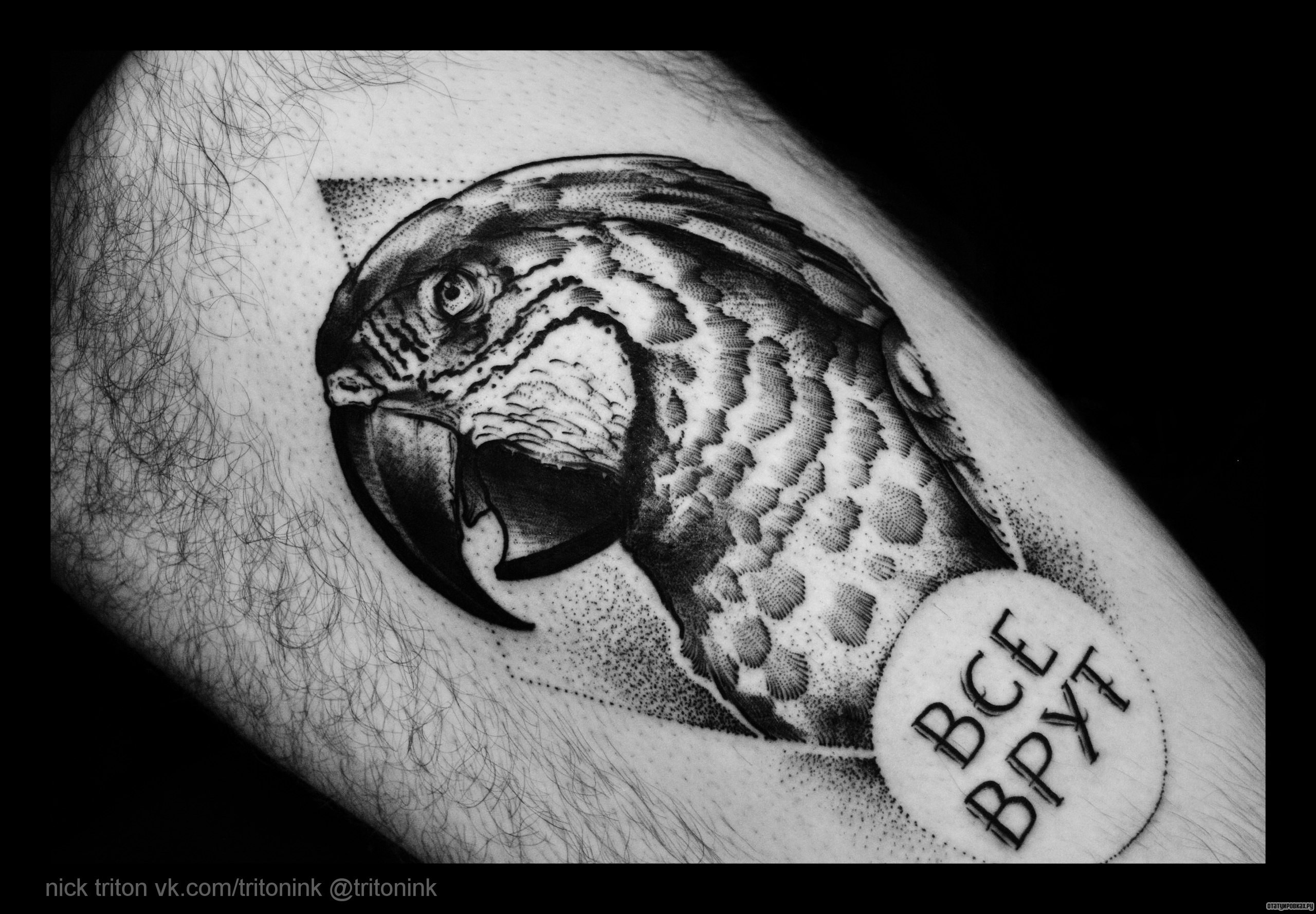 Фотография татуировки под названием «Попугай»