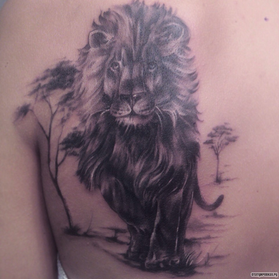 Фотография татуировки под названием «Чб лев на фоне деревьев»