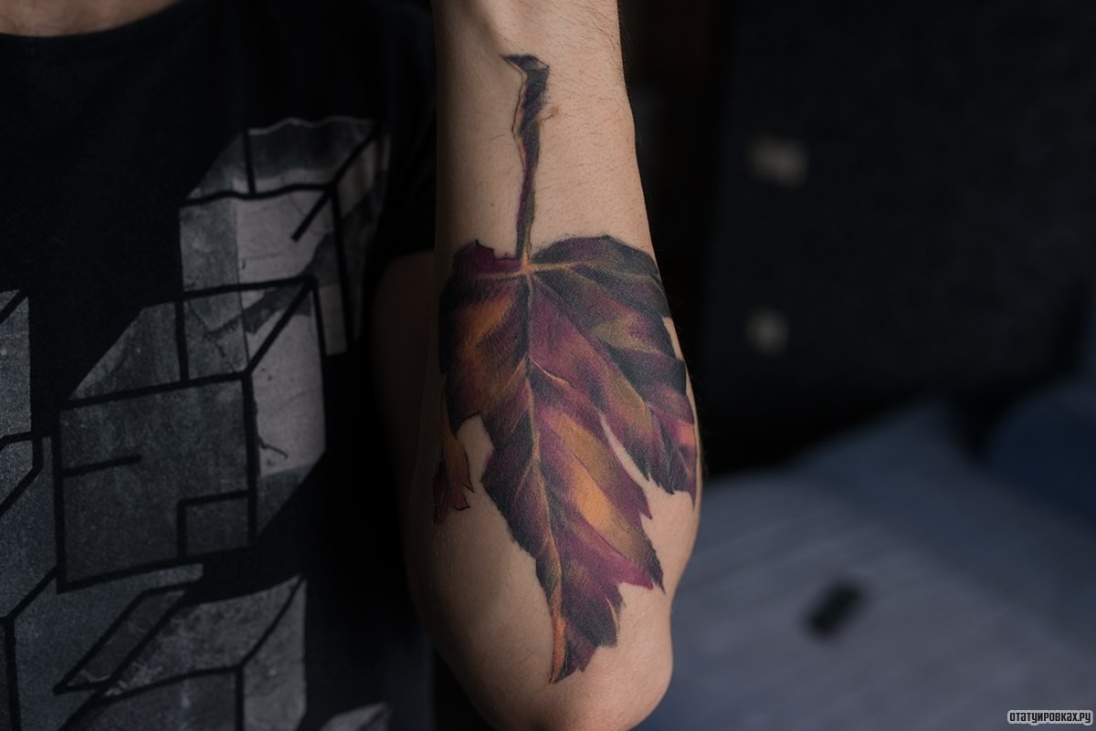 Фотография татуировки под названием «Лист клена»