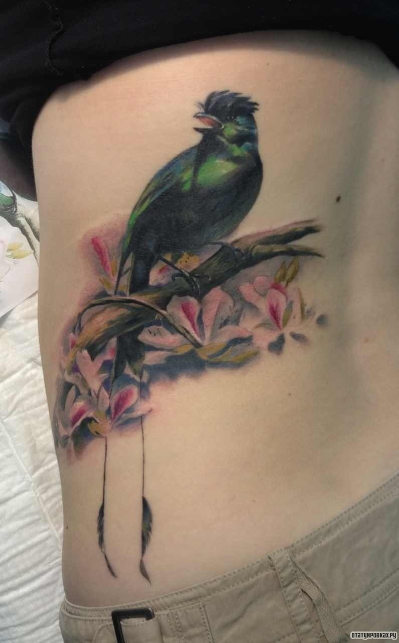 Фотография татуировки под названием «Птица на ветке дерева и цветы»