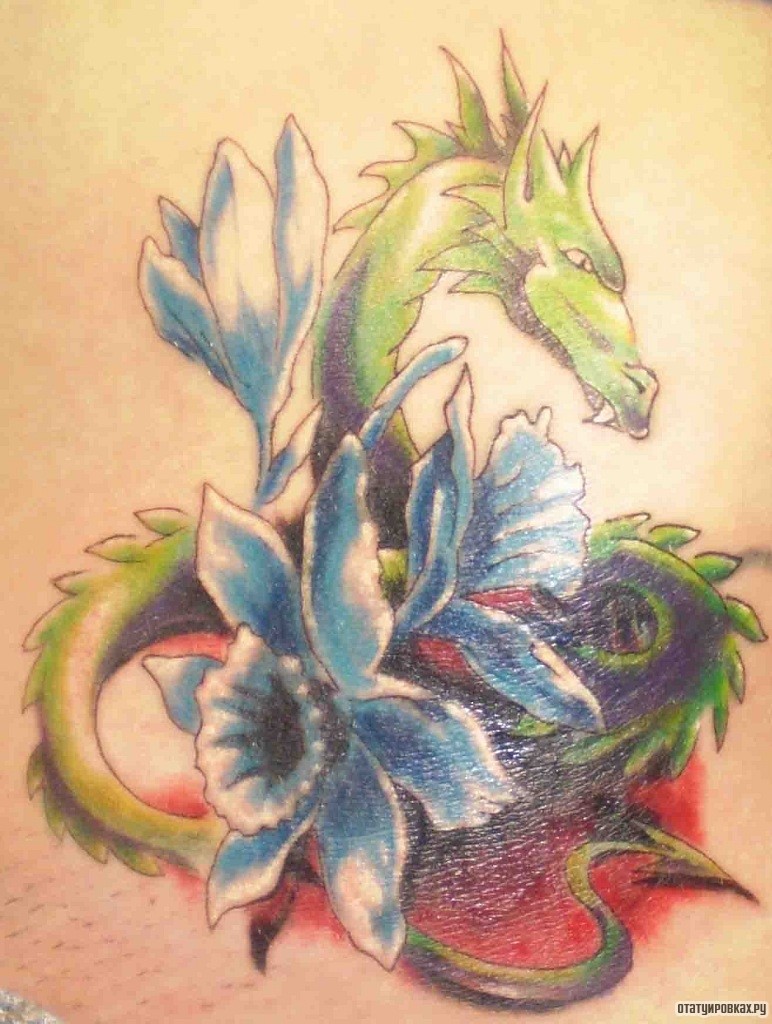 Фотография татуировки под названием «Зеленый дракон в цветке»