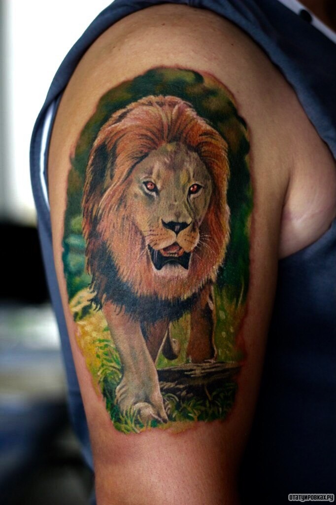 Фотография татуировки под названием «Тигр на природе»