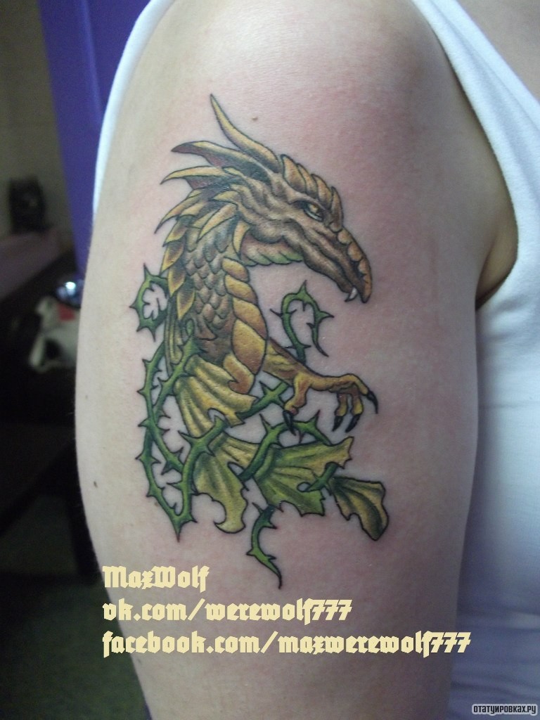 Фотография татуировки под названием «Дракон узор»