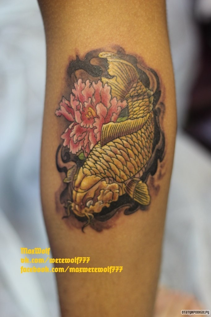 Фотография татуировки под названием «Карп и хризантема»