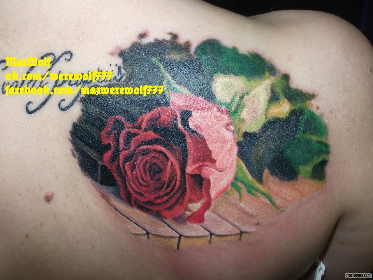 Фотография татуировки под названием «Роза красивая»