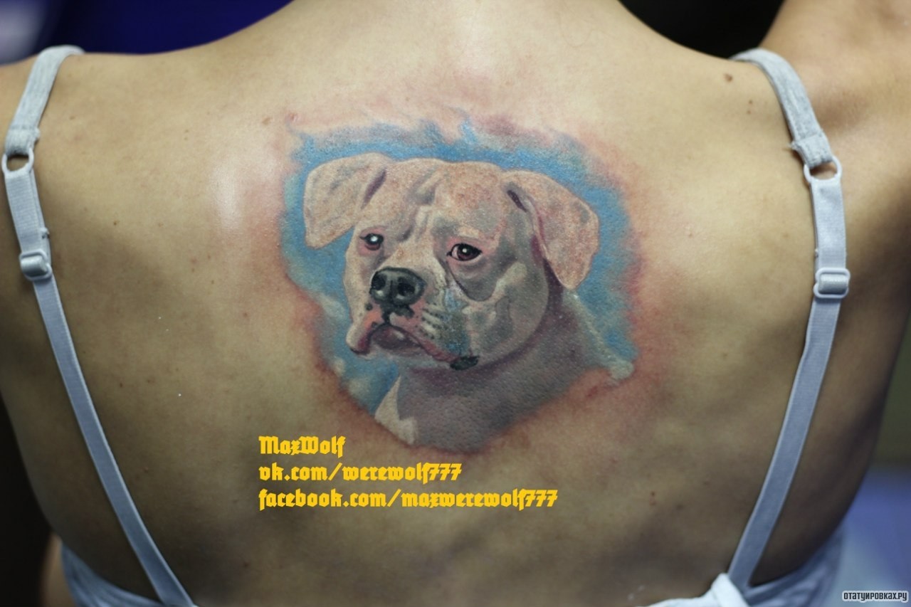 Фотография татуировки под названием «Портрет пса»