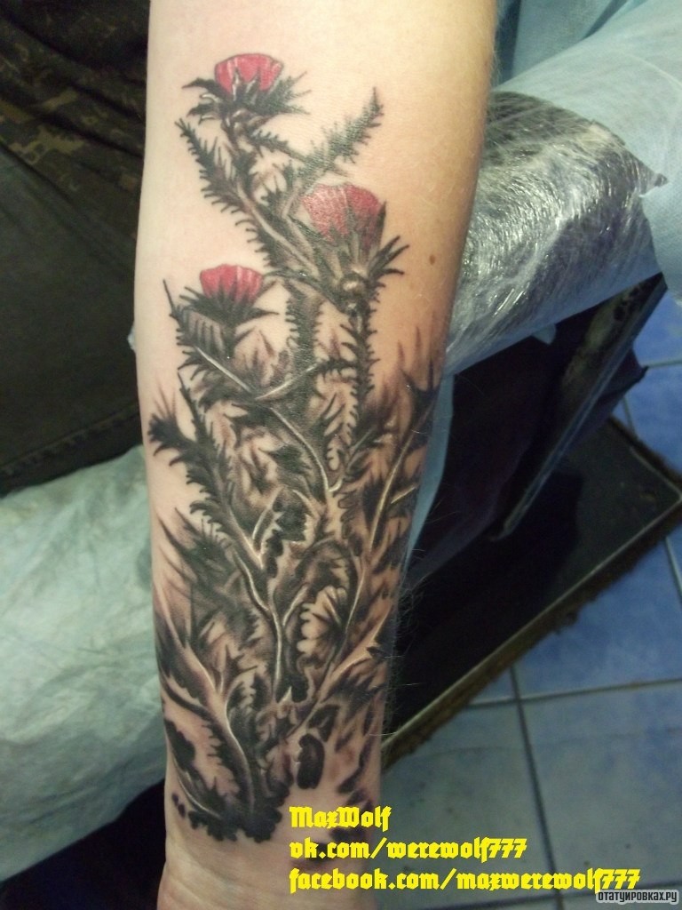 Фотография татуировки под названием «Колючие цветы»