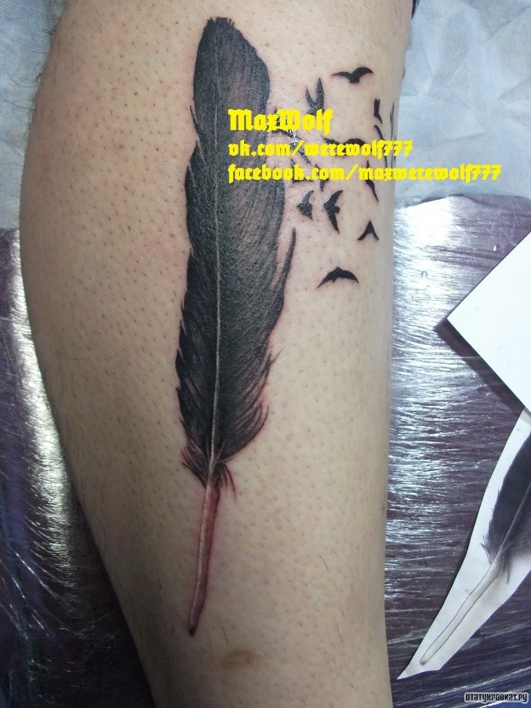 Фотография татуировки под названием «Перо и птицы»