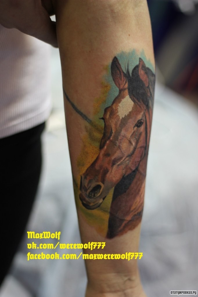 Фотография татуировки под названием «Морда коня»