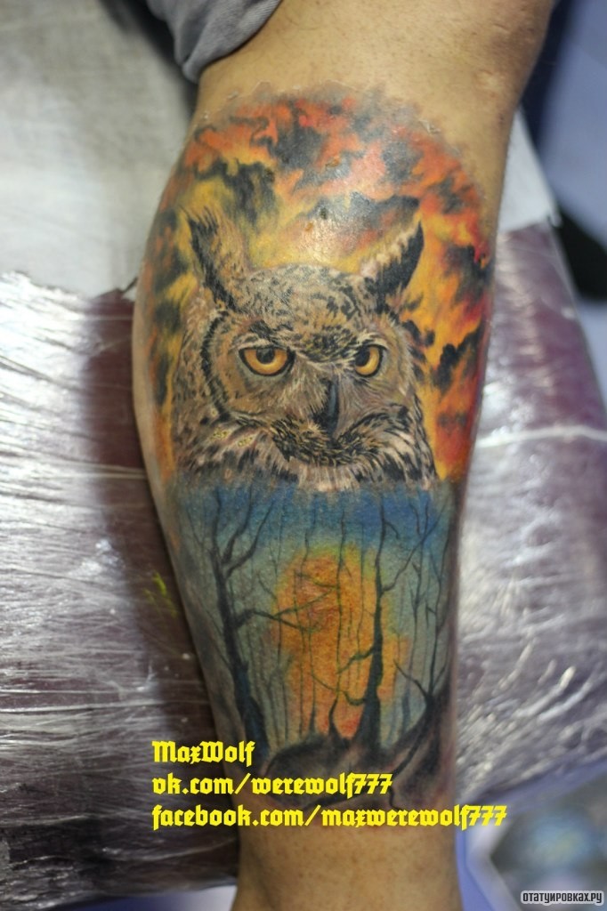 Фотография татуировки под названием «Сова на фоне ночного леса»