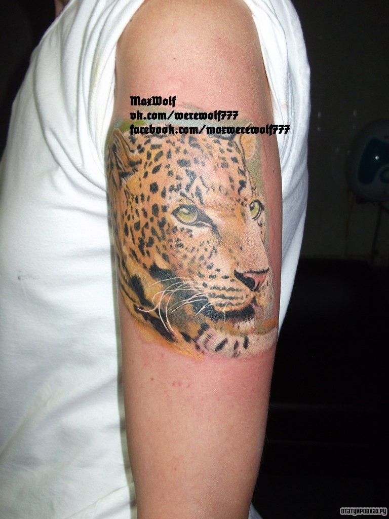 Фотография татуировки под названием «Ягуар»