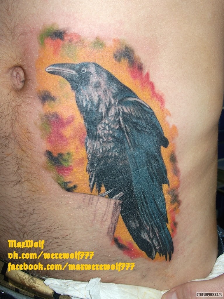 Фотография татуировки под названием «Ворон на фоне ярких красок»