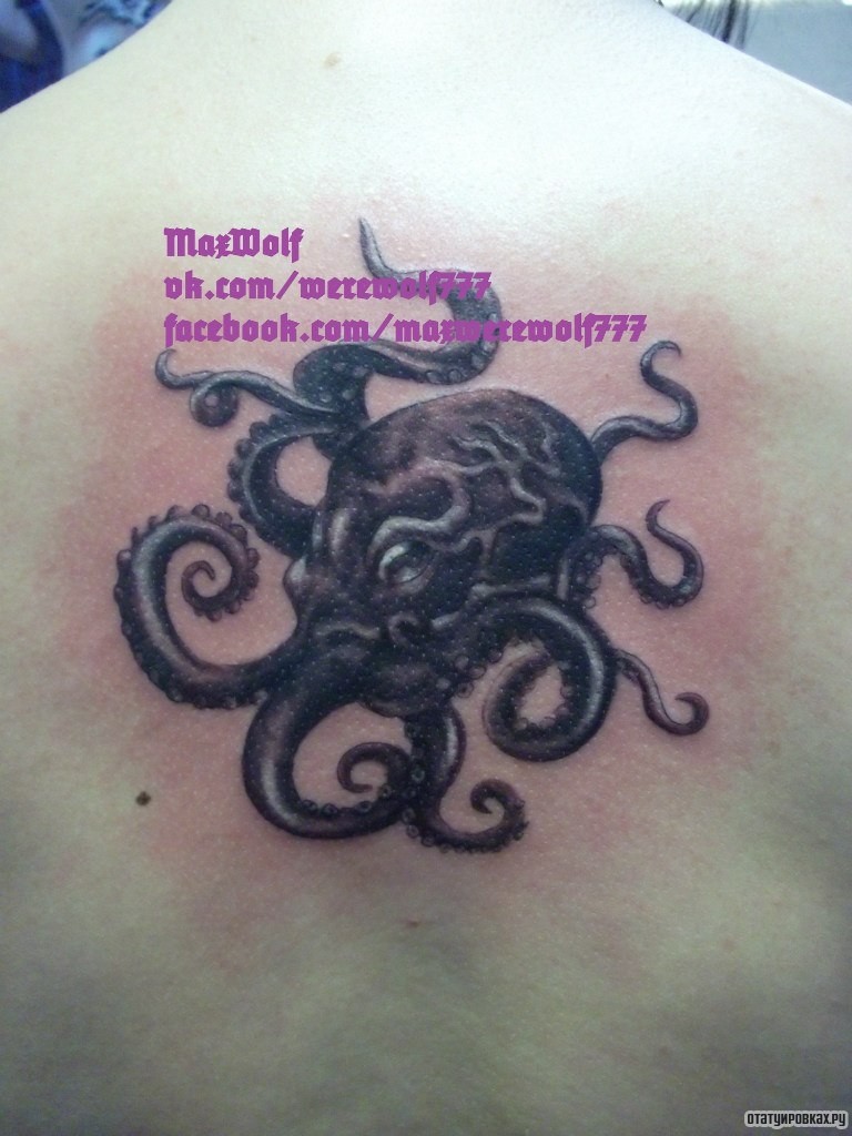 Фотография татуировки под названием «Осьминог»