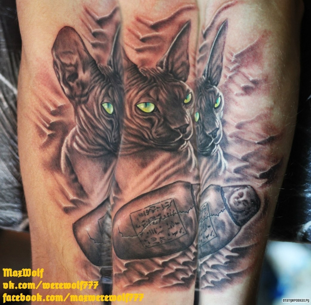 Фотография татуировки под названием «Кот сфинкс и матрешка»