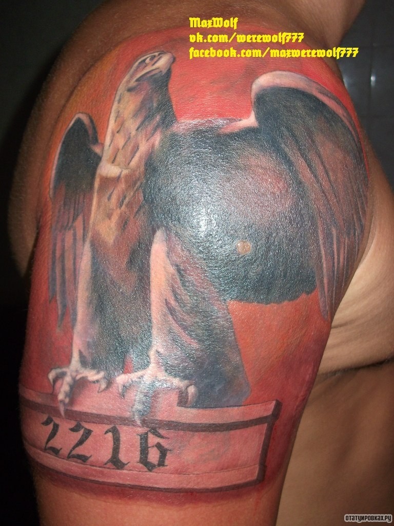 Фотография татуировки под названием «Орел и надпись 2216»