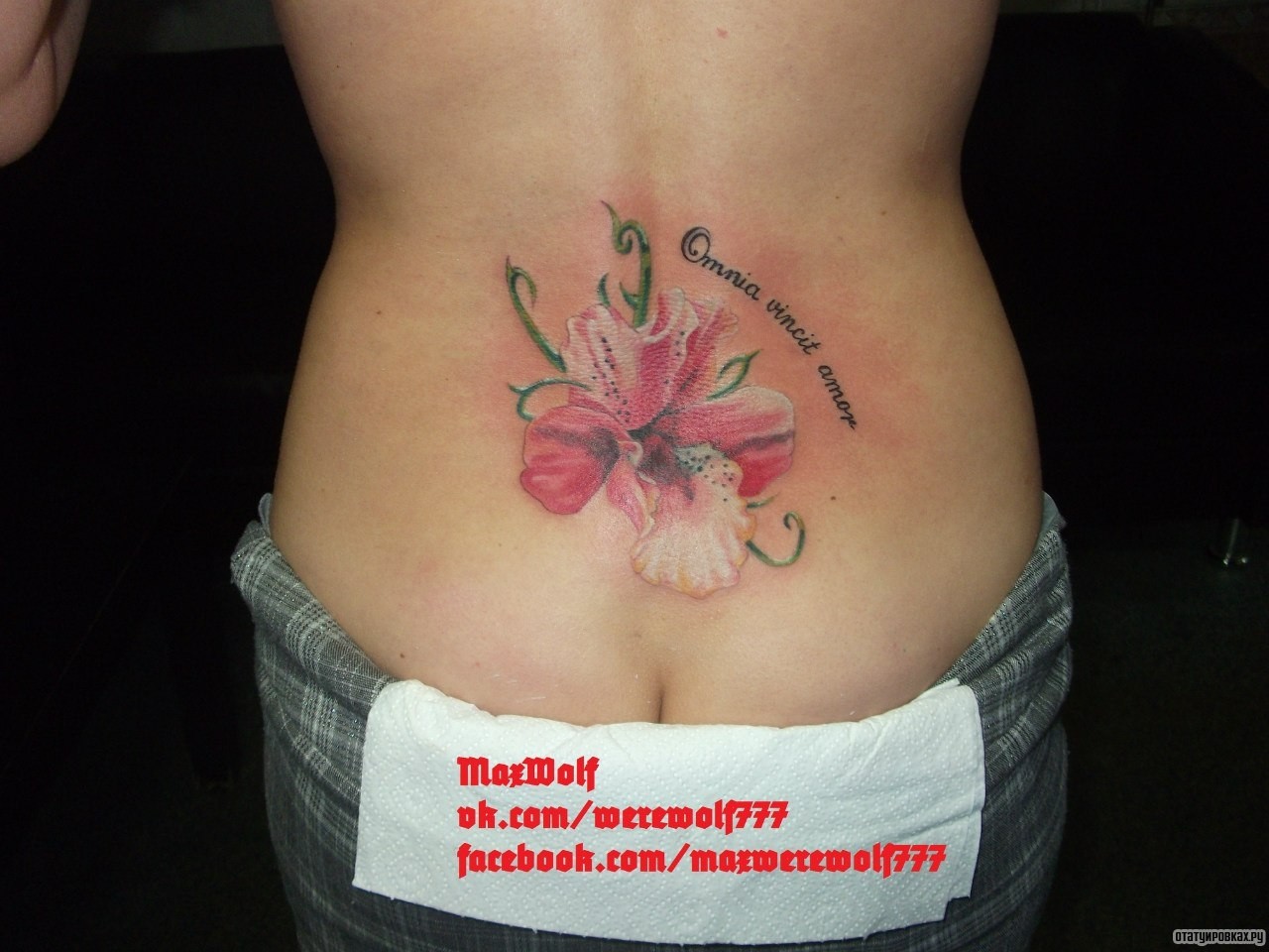 Фотография татуировки под названием «Лилия на пояснице»