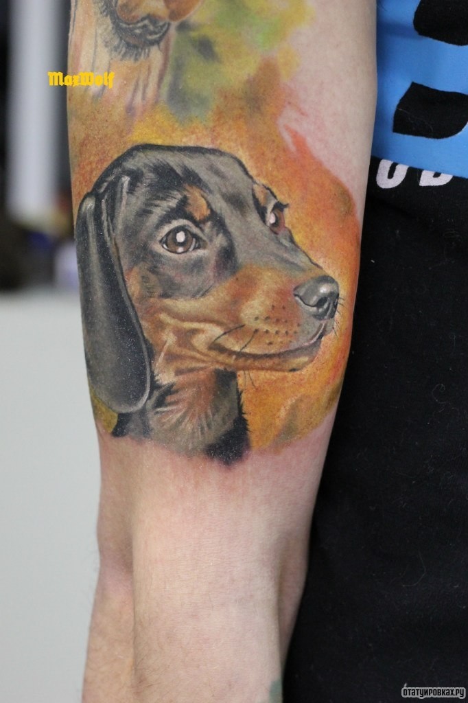Фотография татуировки под названием «Собака друг человека»