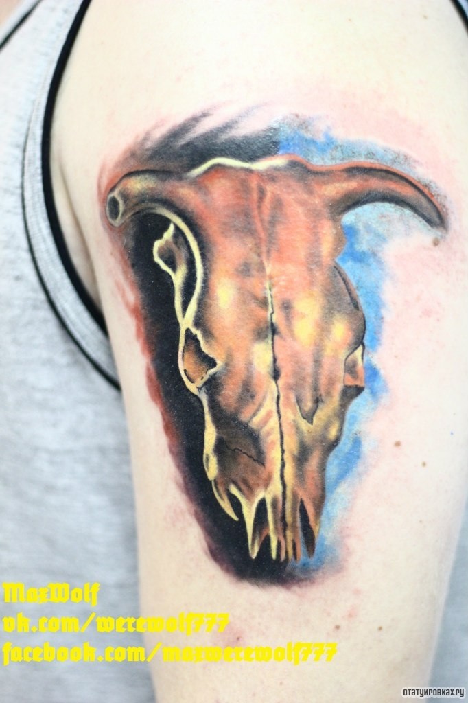 Фотография татуировки под названием «Череп животного»