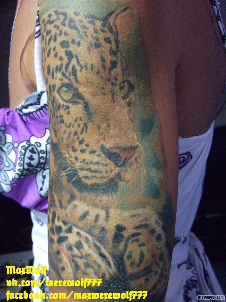 Фотография татуировки под названием «Гепард»