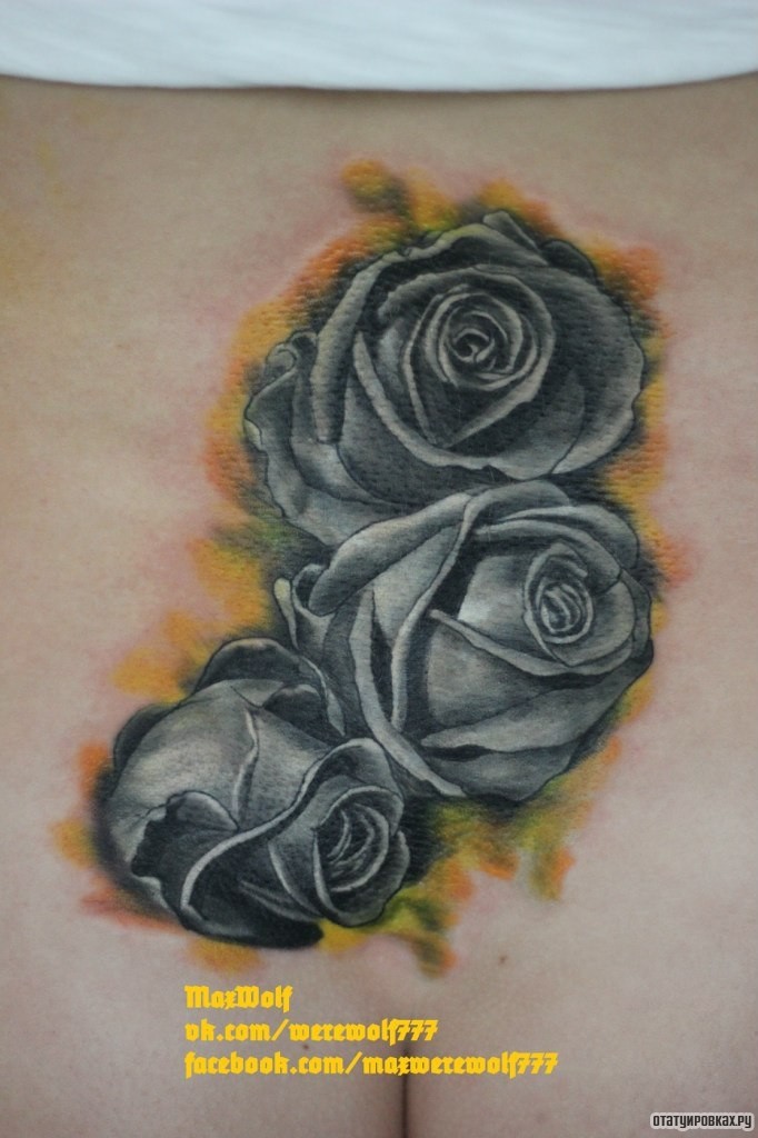 Фотография татуировки под названием «Три черных розы»