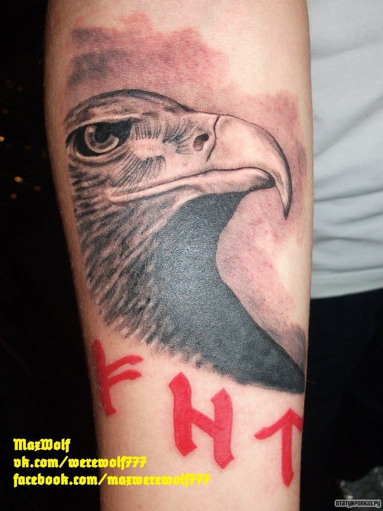 Фотография татуировки под названием «Морда орла»