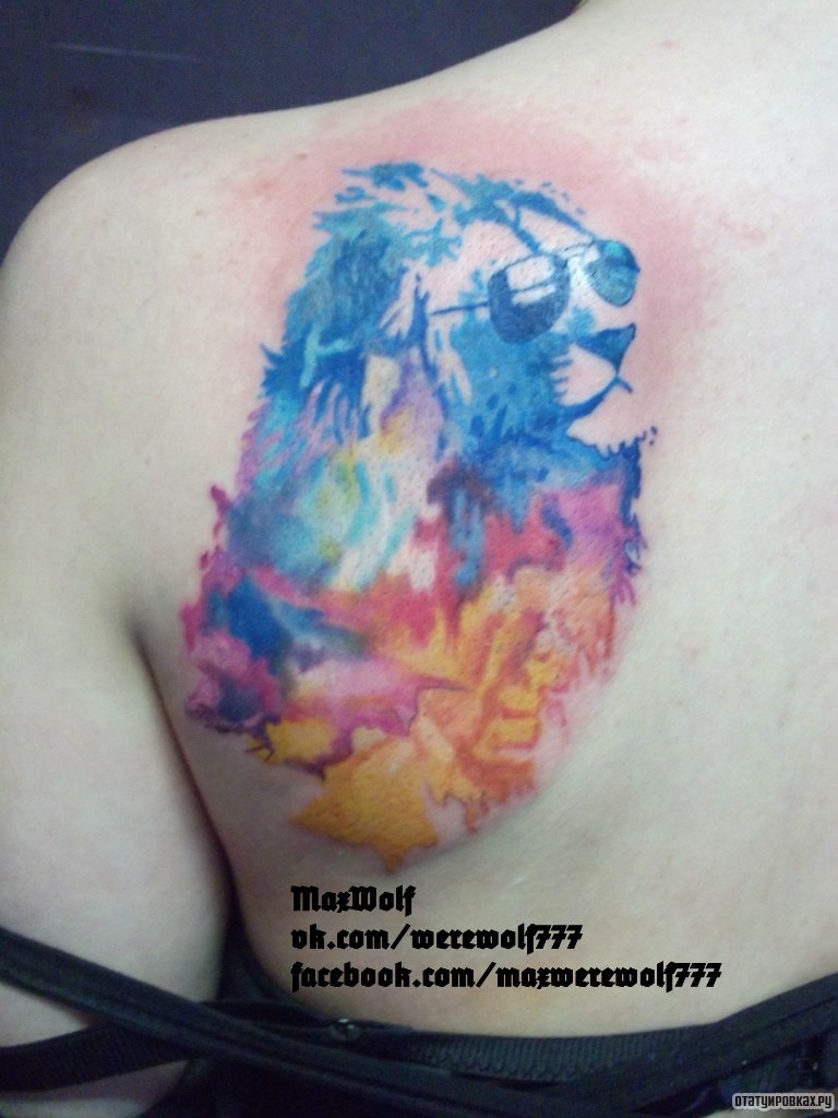 Фотография татуировки под названием «Лев акварель»