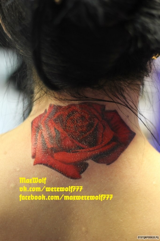 Фотография татуировки под названием «Красная роза»