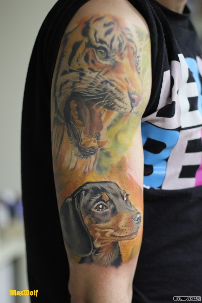 Фотография татуировки под названием «Оскал тигра и собака»