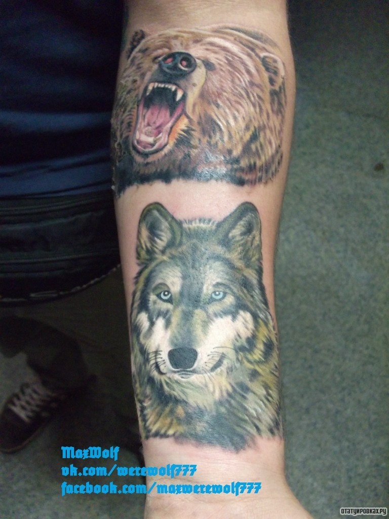 Фотография татуировки под названием «Волк и медведь»