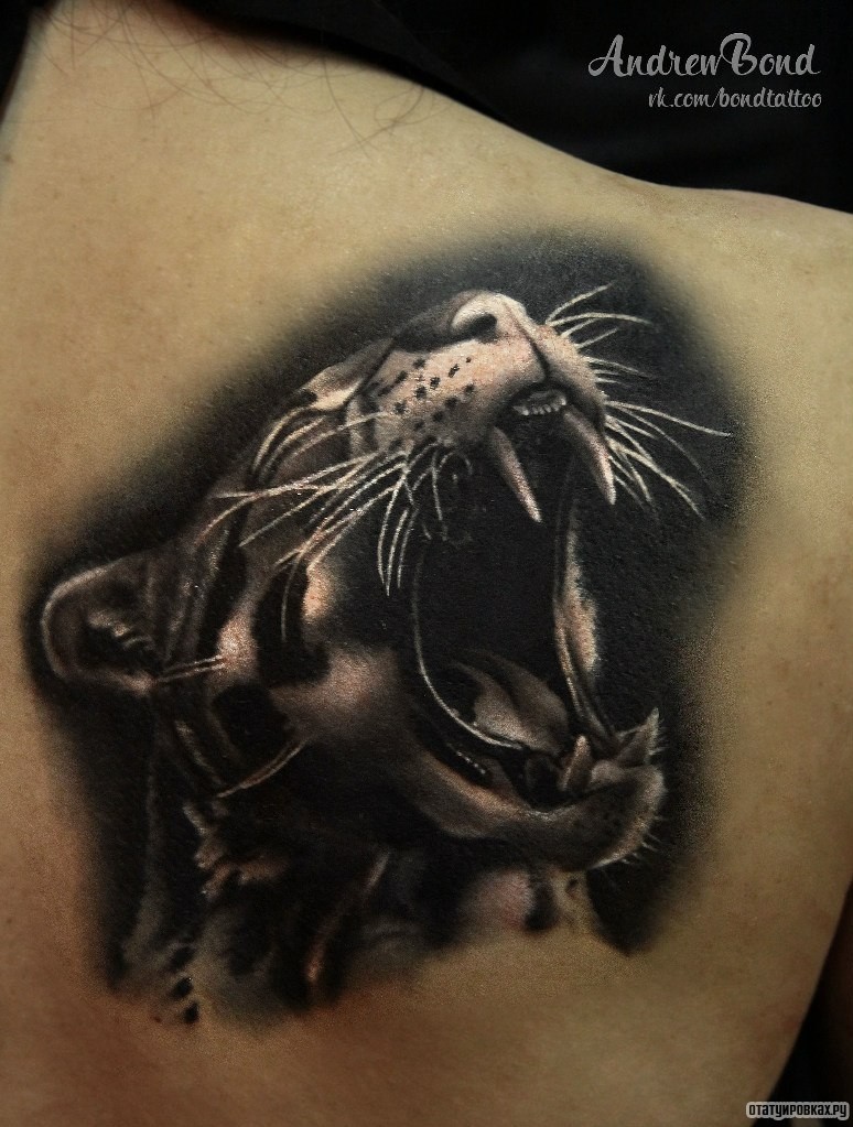 Фотография татуировки под названием «Оскал ягуара»