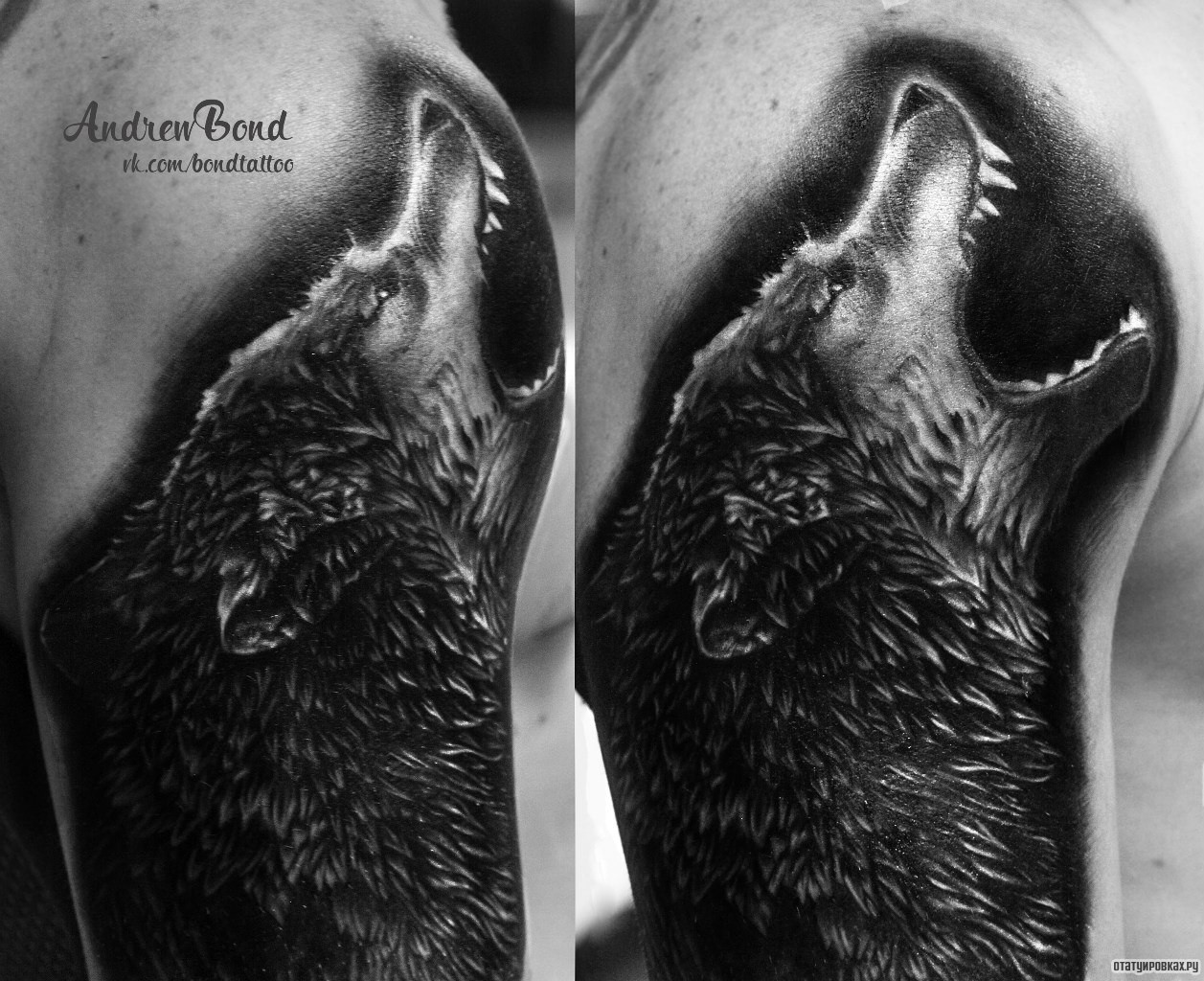 Фотография татуировки под названием «Воющий волк»