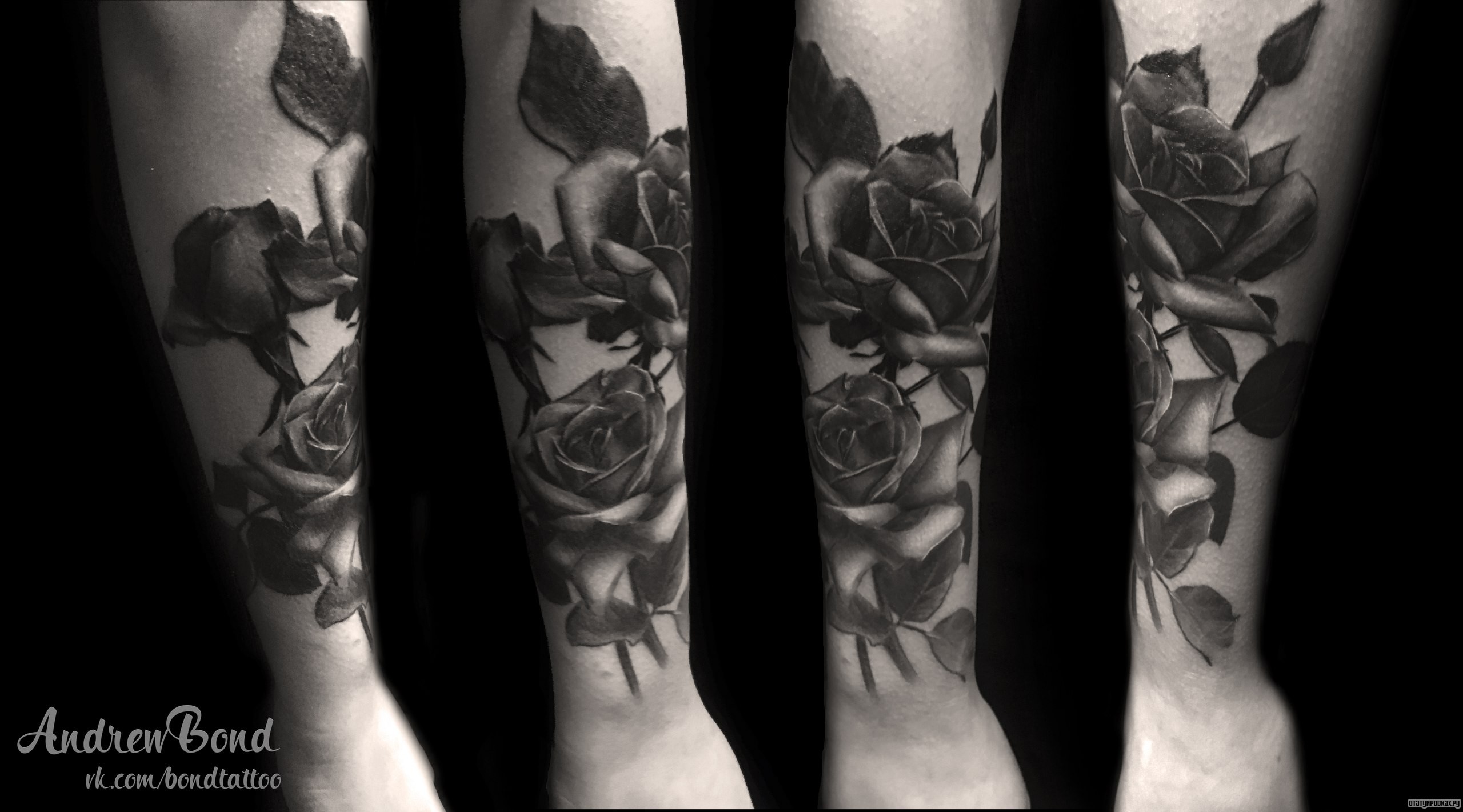 Фотография татуировки под названием «Красивая роза»