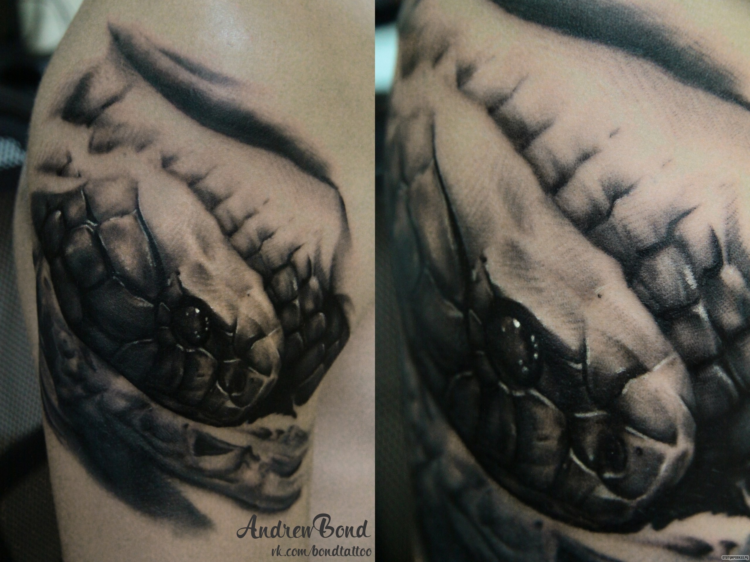 Фотография татуировки под названием «Морда змеи 3д»