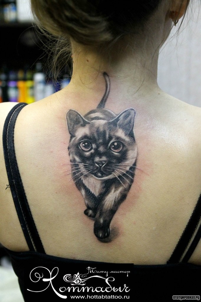 Фотография татуировки под названием «Милая кошка»