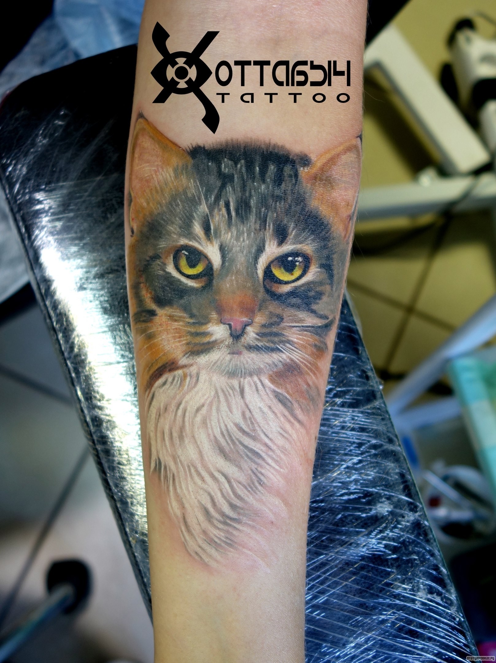 Фотография татуировки под названием «Мордочка кошки»