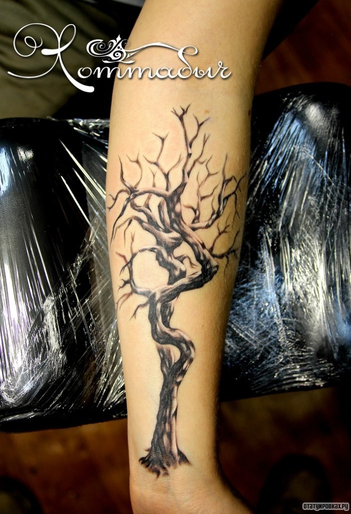 Фотография татуировки под названием «Извилистое дерево»
