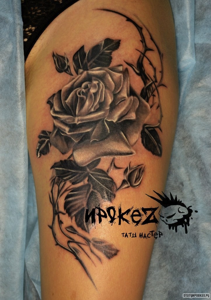 Фотография татуировки под названием «Цветок розы с шипами»