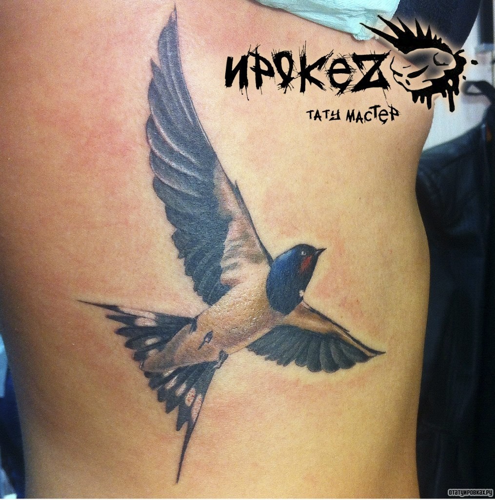 Фотография татуировки под названием «Порхающая вверх птица»