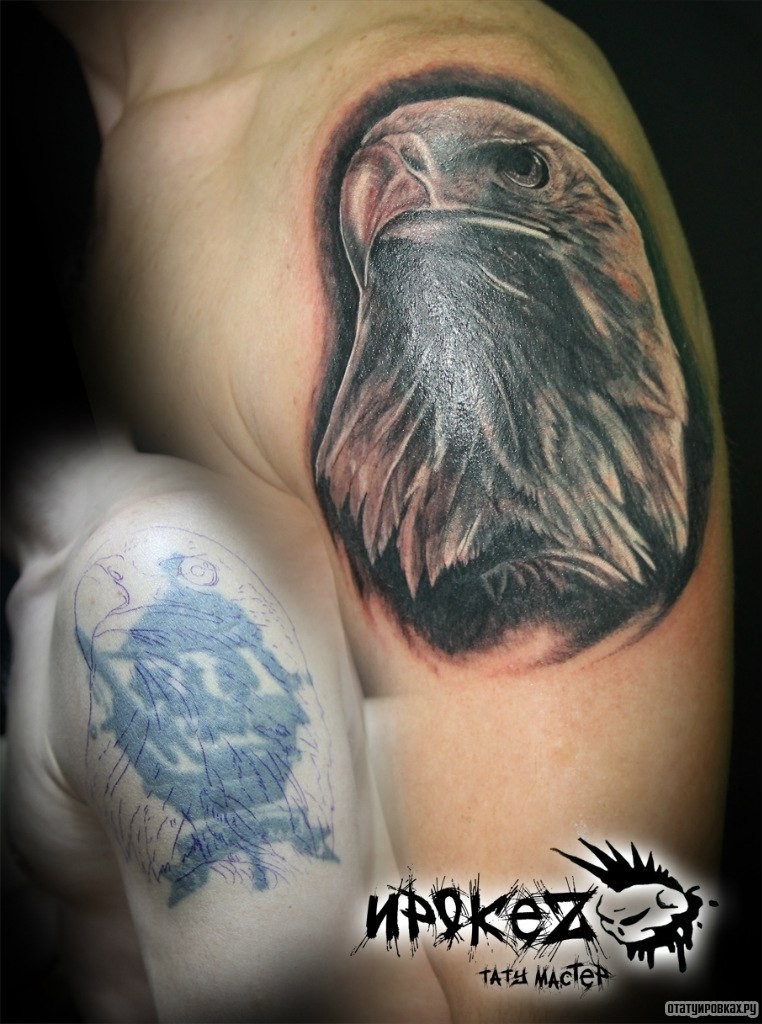 Фотография татуировки под названием «Взгляд орла»