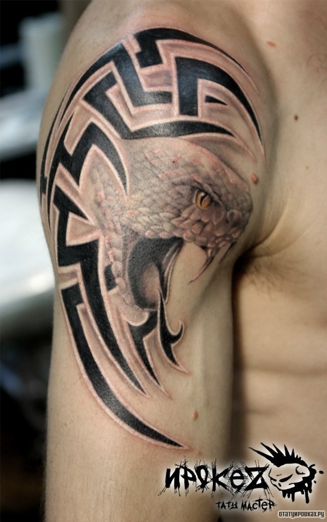 Фотография татуировки под названием «Нападающая кобра»