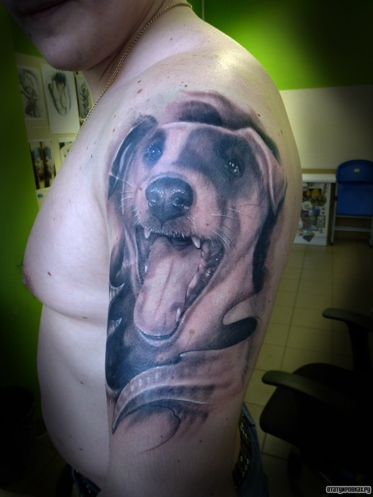 Фотография татуировки под названием «Собака в память»